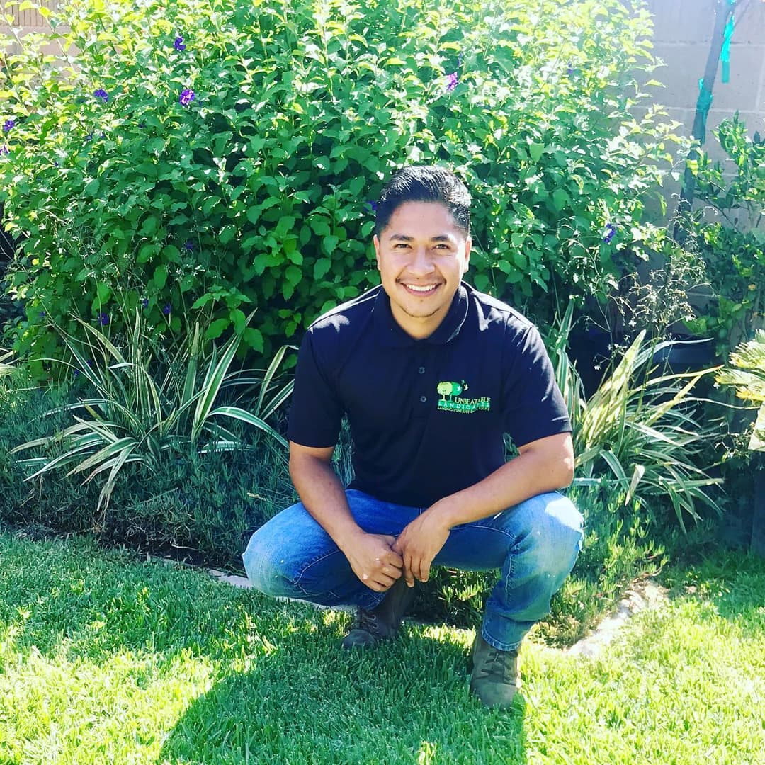 Welcome to Unbeatable Landscapes